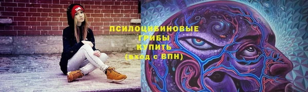 Альфа ПВП Бугульма