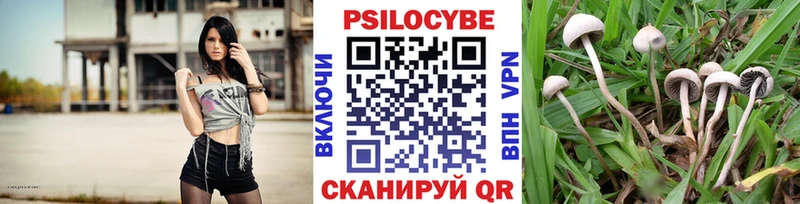 кракен рабочий сайт Черемхово Галлюциногенные грибы мицелий